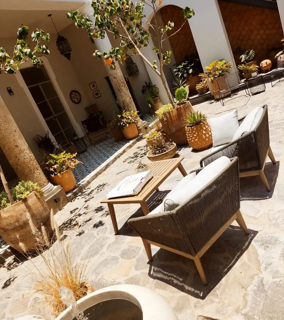 Casa 5 Casa Catedral Aparthotel Guadalajara Mexico